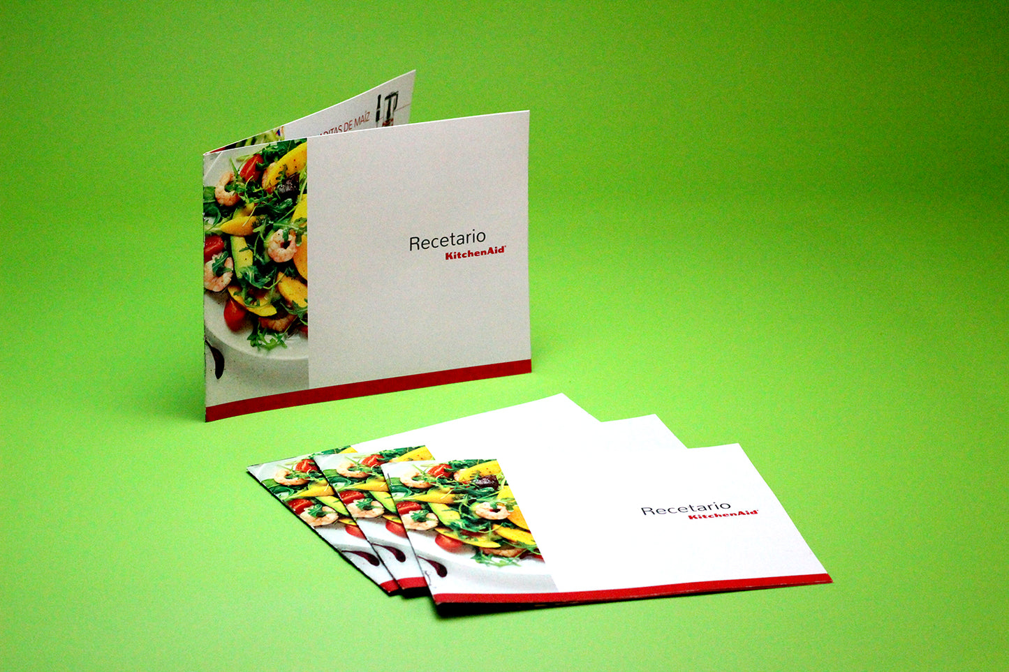 12 Folletos Full Color de 8 Páginas. Medida 9x6 pulgadas