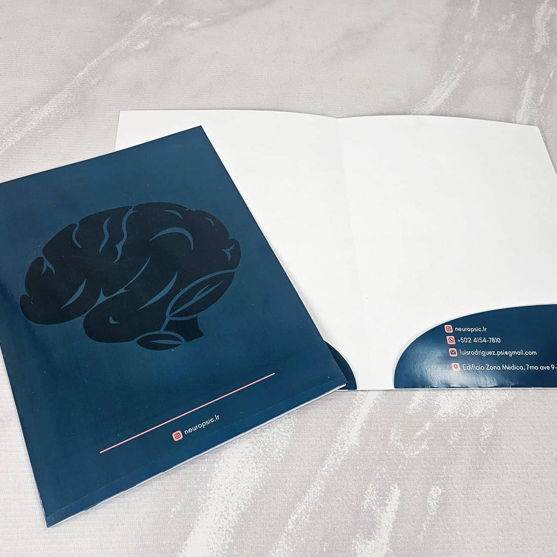 100 Carpetas Con 1 Solapa Tamaño 9×11.5 pulgadas