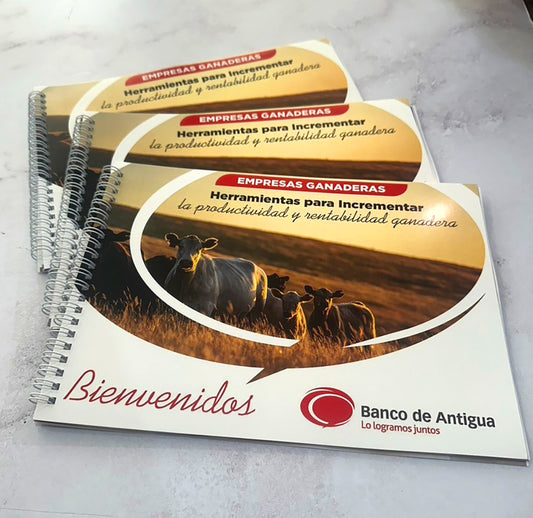 25 Folletos Corporativos para Presentaciones: 8.5×5.5 Pulgadas