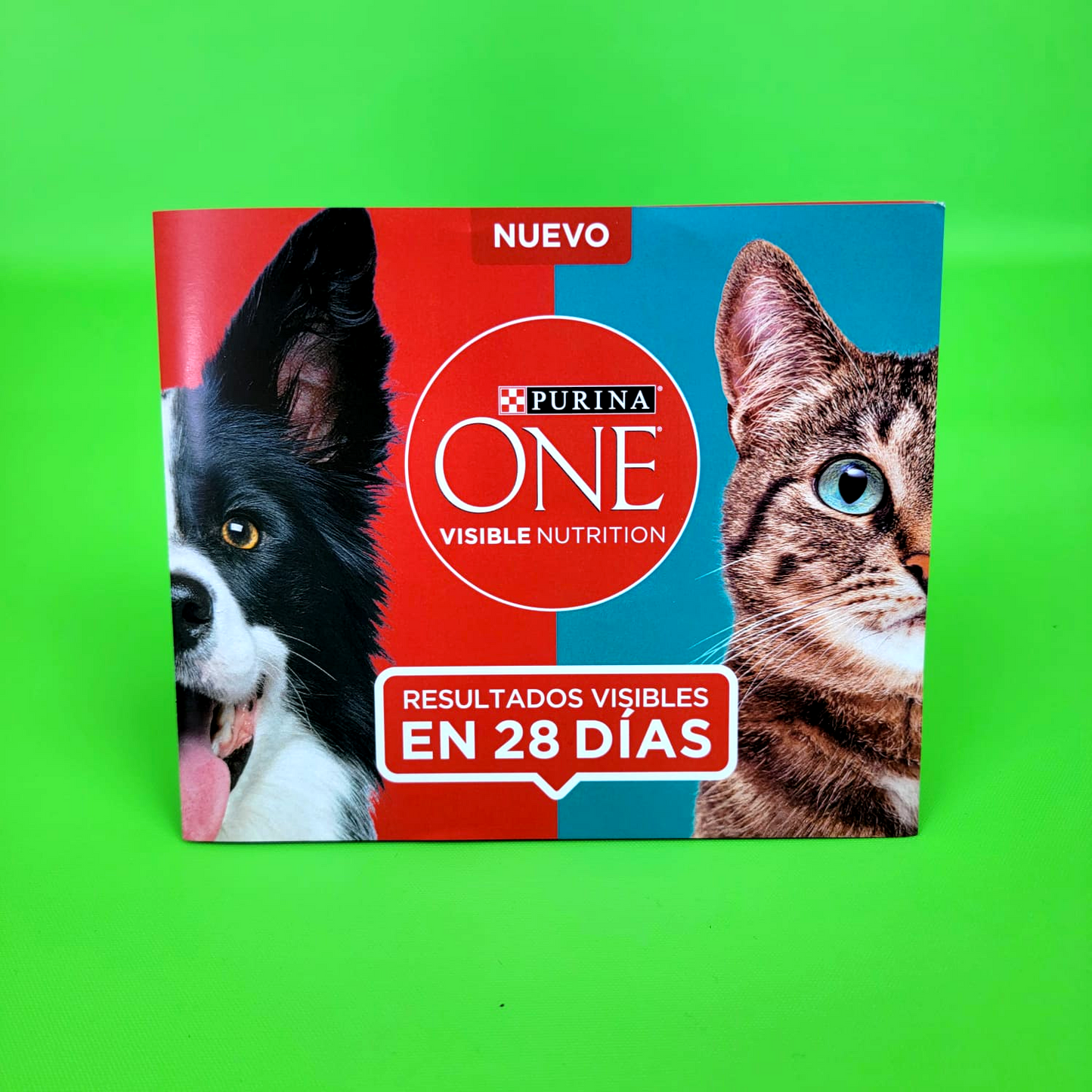 25 Brochure 3 Cuerpos. Medidas: 15.5x12.5 cm