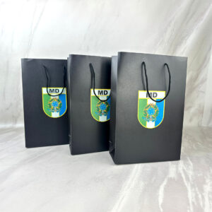 100 Bolsas Boutique Grandes Premium Laminadas Medidas: 23x34x9 CM Ancho-Alto-Fuelle