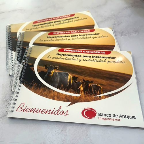 Folletos Corporativos